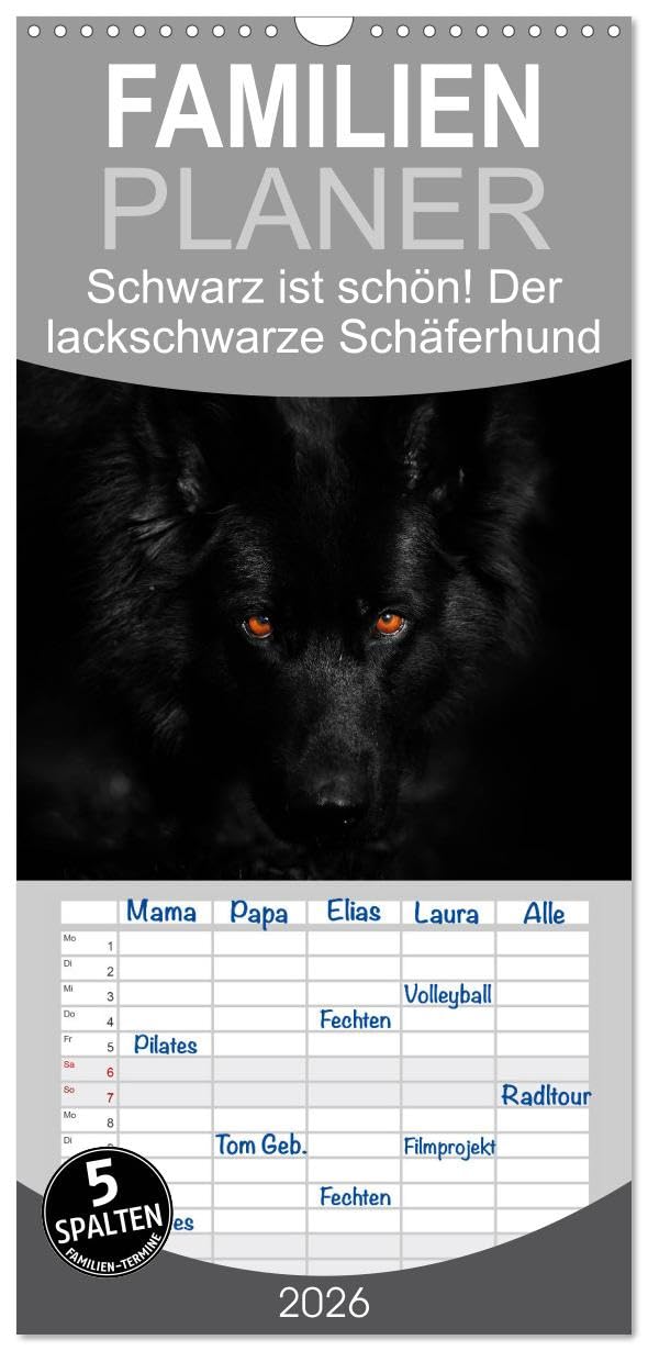 Familienplaner 2026 - Schwarz ist schön! Der lackschwarze altdeutsche Schäferhund mit 5 Spalten (Wandkalender, 21 cm x 45 cm), CALVENDO Pets