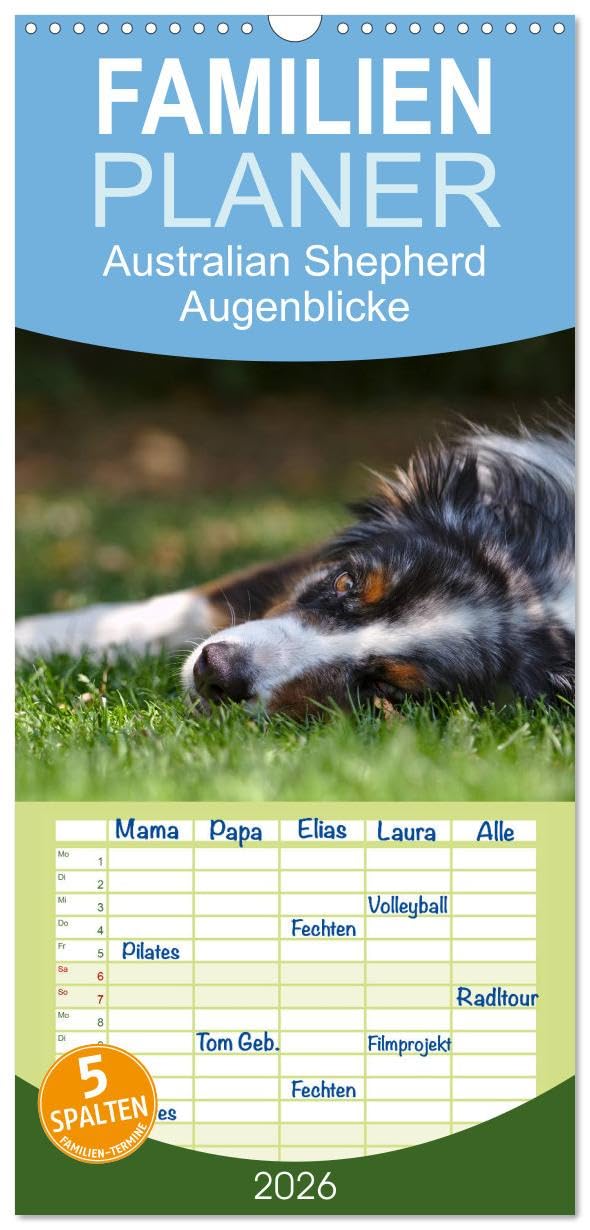 Familienplaner 2026 - Australian Shepherd - Augenblicke mit 5 Spalten (Wandkalender, 21 cm x 45 cm), CALVENDO Natural Sciences