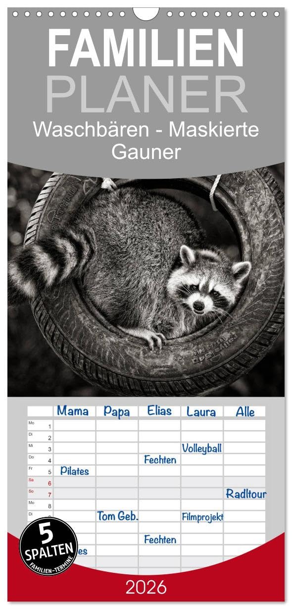 Familienplaner 2026 - Waschbären - Maskierte Gauner mit 5 Spalten (Wandkalender, 21 cm x 45 cm), CALVENDO Leisure, Home & Garden