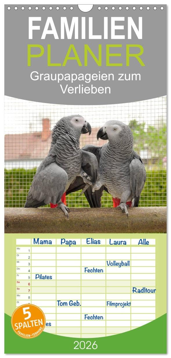 Familienplaner 2026 - Graupapageien zum Verlieben mit 5 Spalten (Wandkalender, 21 cm x 45 cm), CALVENDO Natural Sciences