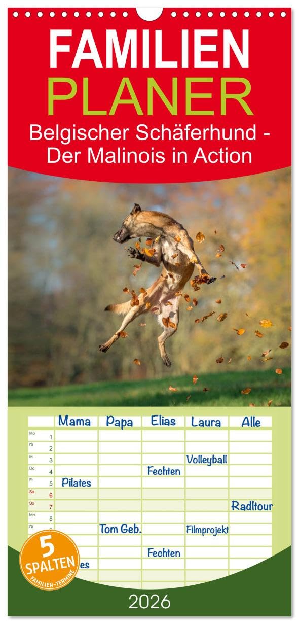 Familienplaner 2026 - Belgischer Schäferhund - Der Malinois in Action mit 5 Spalten (Wandkalender, 21 cm x 45 cm), CALVENDO Natural Sciences