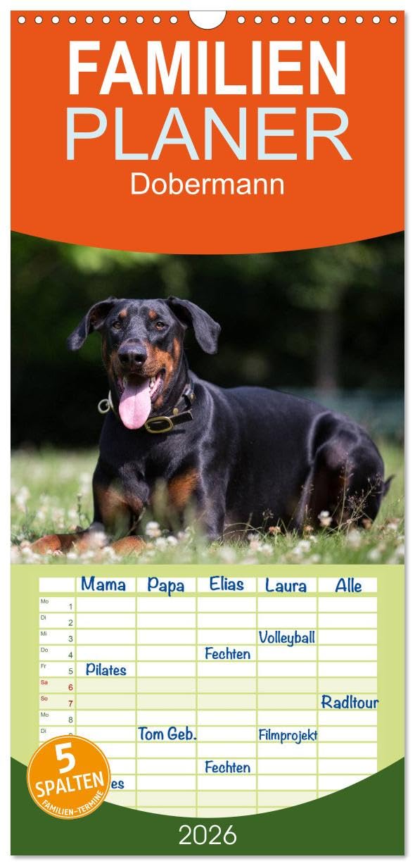 Familienplaner 2026 - Dobermann mit 5 Spalten (Wandkalender, 21 cm x 45 cm), CALVENDO Living & Furnishing