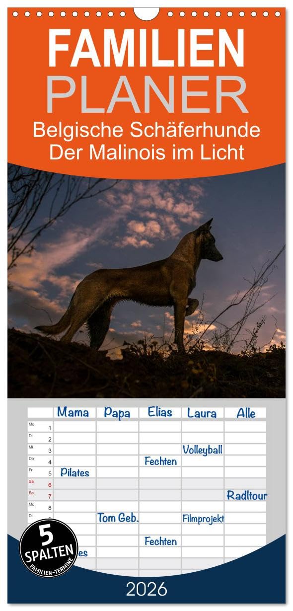 Familienplaner 2026 - Belgische Schäferhunde - Der Malinois im Licht mit 5 Spalten (Wandkalender, 21 cm x 45 cm), CALVENDO Natural Sciences