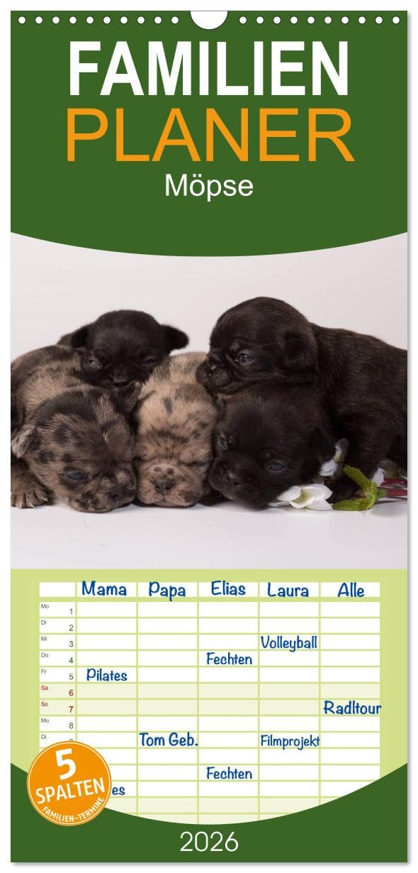 Familienplaner 2026 - Möpse mit 5 Spalten (Wandkalender, 21 cm x 45 cm), CALVENDO Living & Furnishing