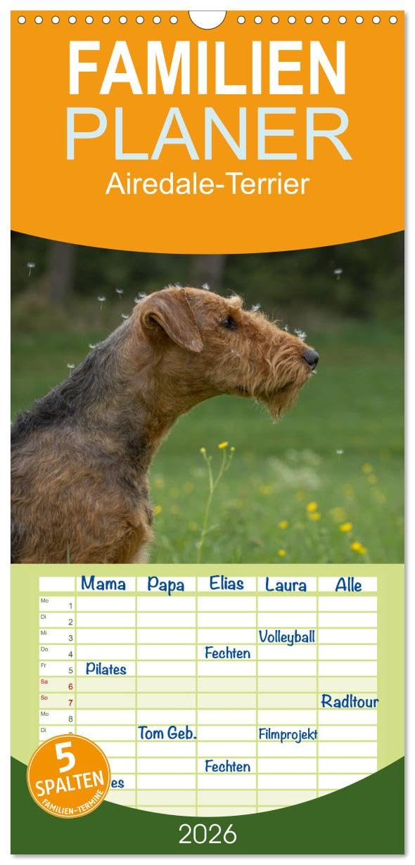 Familienplaner 2026 - Airedale-Terrier, was sonst! mit 5 Spalten (Wandkalender, 21 cm x 45 cm), CALVENDO Natural Sciences