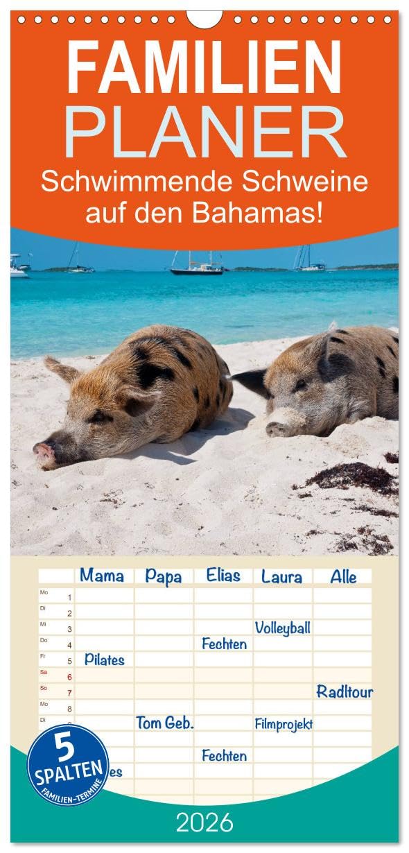 Familienplaner 2026 - Schwimmende Schweine auf den Bahamas! mit 5 Spalten (Wandkalender, 21 cm x 45 cm), CALVENDO Living & Furnishing