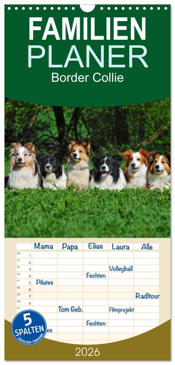 Familienplaner 2026 - Border Collie 2026 mit 5 Spalten (Wandkalender, 21 cm x 45 cm), CALVENDO Natural Sciences