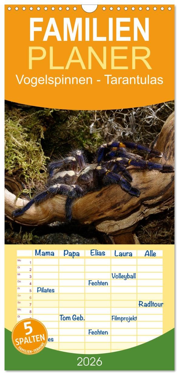 Familienplaner 2026 - Vogelspinnen - Tarantulas mit 5 Spalten (Wandkalender, 21 cm x 45 cm), CALVENDO Photography