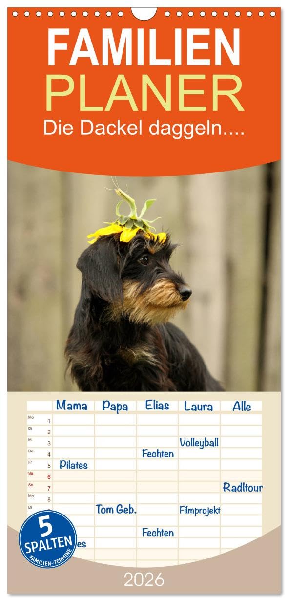 Familienplaner 2026 - Die Dackel daggeln mit 5 Spalten (Wandkalender, 21 cm x 45 cm), CALVENDO Pets