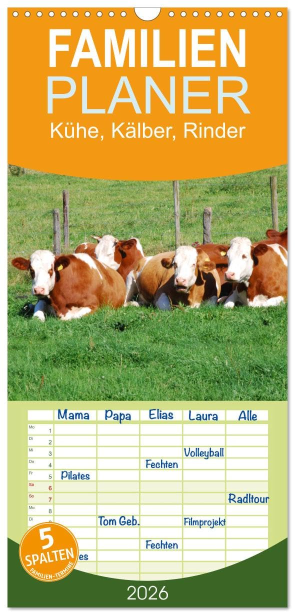 Familienplaner 2026 - Kühe, Kälber, Rinder mit 5 Spalten (Wandkalender, 21 cm x 45 cm), CALVENDO Natural Sciences