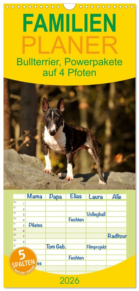 Familienplaner 2026 - Bullterrier, Powerpakete auf 4 Pfoten mit 5 Spalten (Wandkalender, 21 cm x 45 cm), CALVENDO Business & Technology