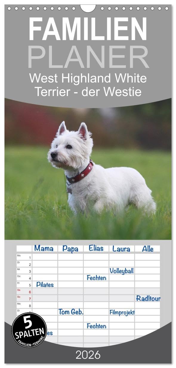Familienplaner 2026 - West Highland White Terrier - Selbstbewustes Powerpaket - der Westie mit 5 Spalten (Wandkalender, 21 cm x 45 cm), CALVENDO Living & Furnishing