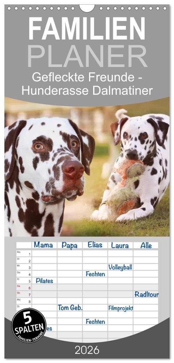 Familienplaner 2026 - Gefleckte Freunde - Hunderasse Dalmatiner mit 5 Spalten (Wandkalender, 21 cm x 45 cm), CALVENDO Living & Furnishing