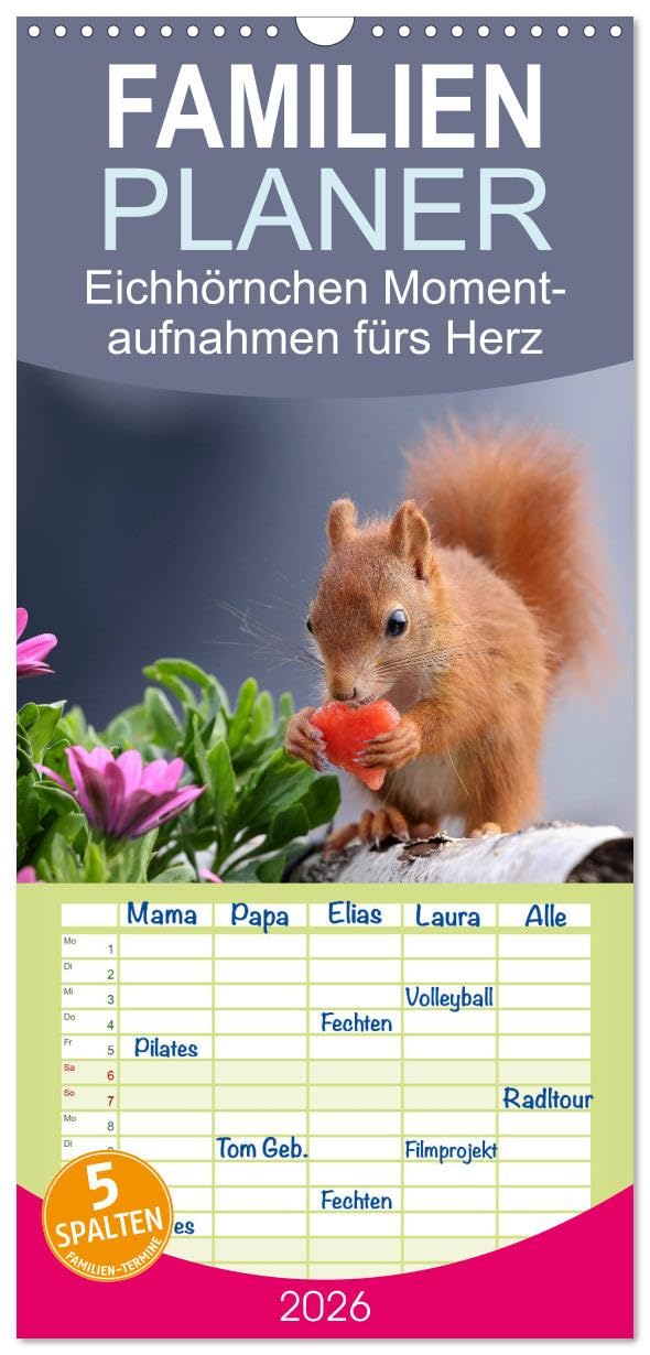 Familienplaner 2026 - Eichhörnchen Momentaufnahmen fürs Herz mit 5 Spalten (Wandkalender, 21 cm x 45 cm), CALVENDO Natural Sciences