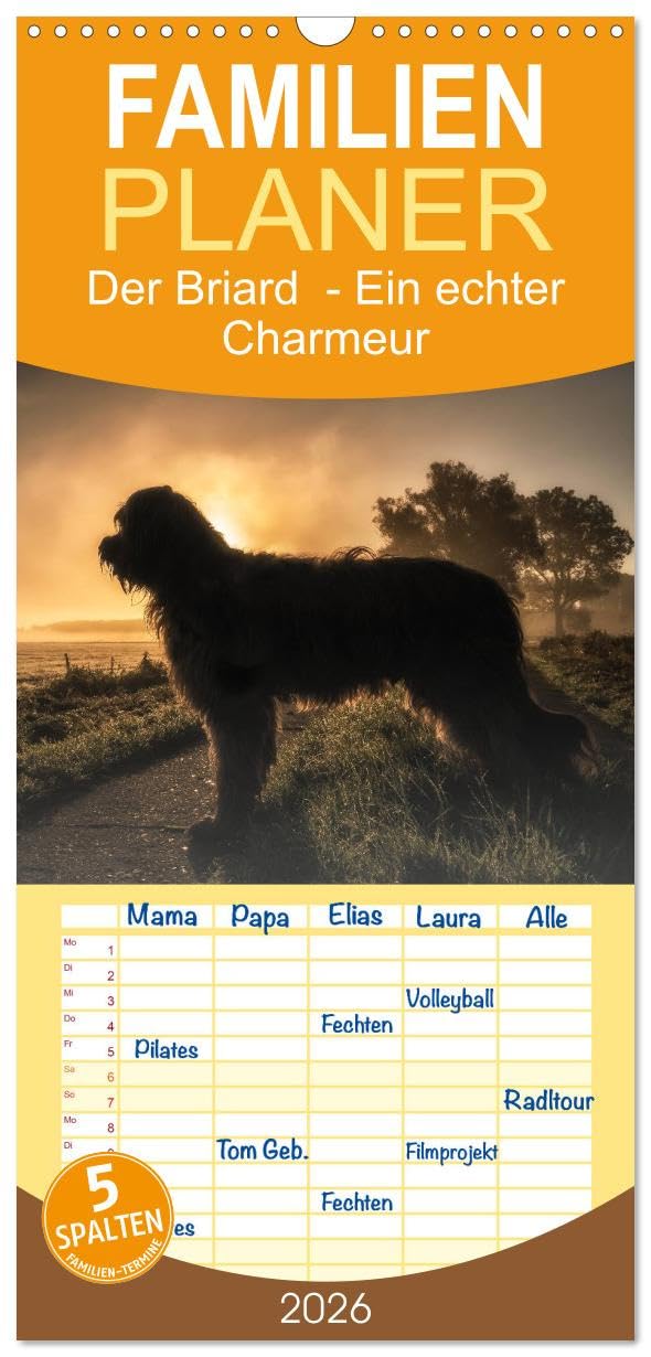 Familienplaner 2026 - Der Briard - Ein echter Charmeur mit 5 Spalten (Wandkalender, 21 cm x 45 cm), CALVENDO Natural Sciences