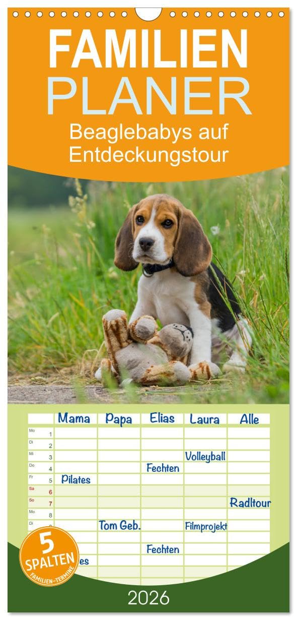 Familienplaner 2026 - Beaglebabys auf Entdeckungstour mit 5 Spalten (Wandkalender, 21 cm x 45 cm), CALVENDO Natural Sciences
