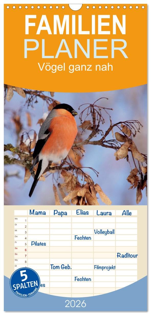 Familienplaner 2026 - Vögel ganz nah mit 5 Spalten (Wandkalender, 21 cm x 45 cm), CALVENDO Natural Sciences