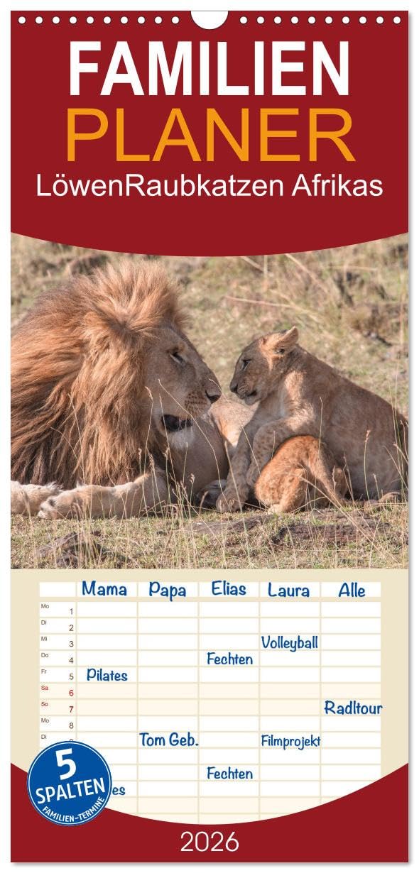 Familienplaner 2026 - Löwen - Raubkatzen Afrikas mit 5 Spalten (Wandkalender, 21 cm x 45 cm), CALVENDO Living & Furnishing