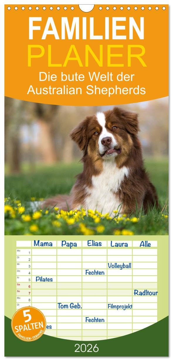 Familienplaner 2026 - DIE BUNTE WELT DER AUSTRALIAN SHEPHERDS mit 5 Spalten (Wandkalender, 21 cm x 45 cm), CALVENDO Leisure, Home & Garden
