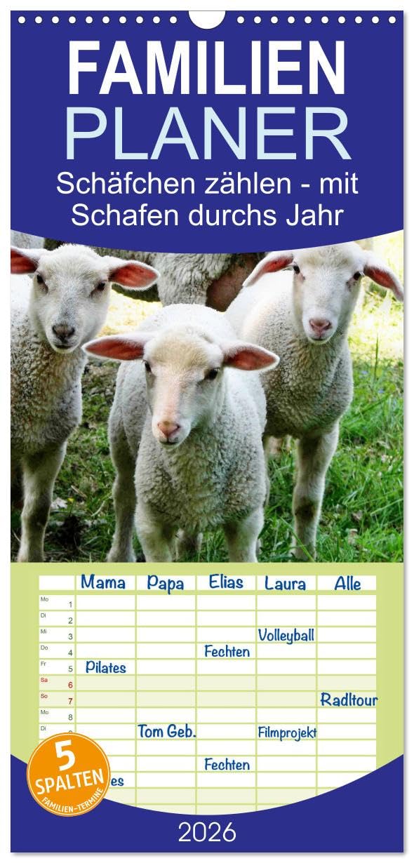 Familienplaner 2026 - Schäfchen zählen - mit Schafen durchs Jahr mit 5 Spalten (Wandkalender, 21 cm x 45 cm), CALVENDO Lifestyle