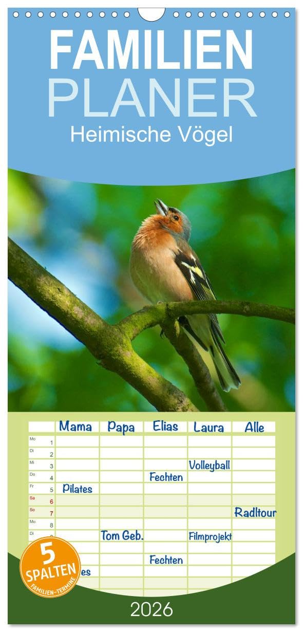 Familienplaner 2026 - Heimische Vögel mit 5 Spalten (Wandkalender, 21 cm x 45 cm), CALVENDO Natural Sciences