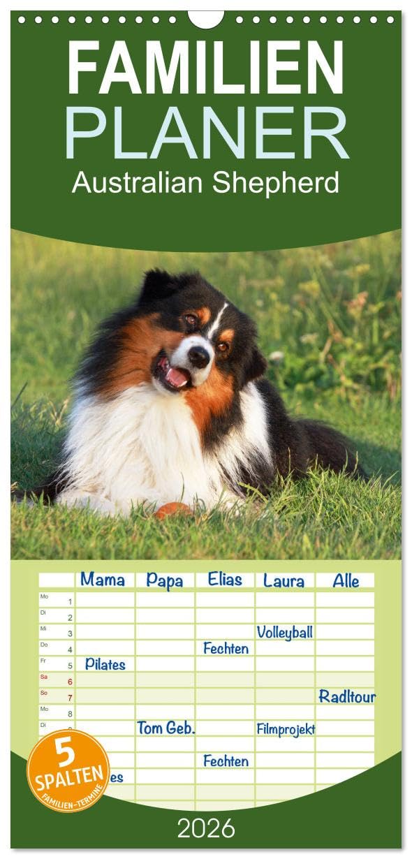 Familienplaner 2026 - Australian Shepherd - Hütehunde mit Familienanschluss mit 5 Spalten (Wandkalender, 21 cm x 45 cm), CALVENDO Living & Furnishing