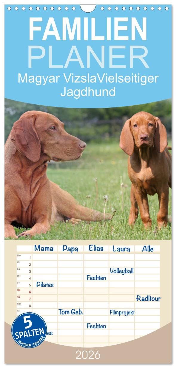 Familienplaner 2026 - Magyar Vizsla - Vielseitiger Jagdhund mit 5 Spalten (Wandkalender, 21 cm x 45 cm), CALVENDO Living & Furnishing