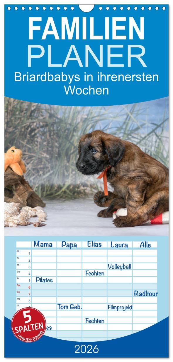 Familienplaner 2026 - Briardbabys in ihren ersten Wochen mit 5 Spalten (Wandkalender, 21 cm x 45 cm), CALVENDO Natural Sciences