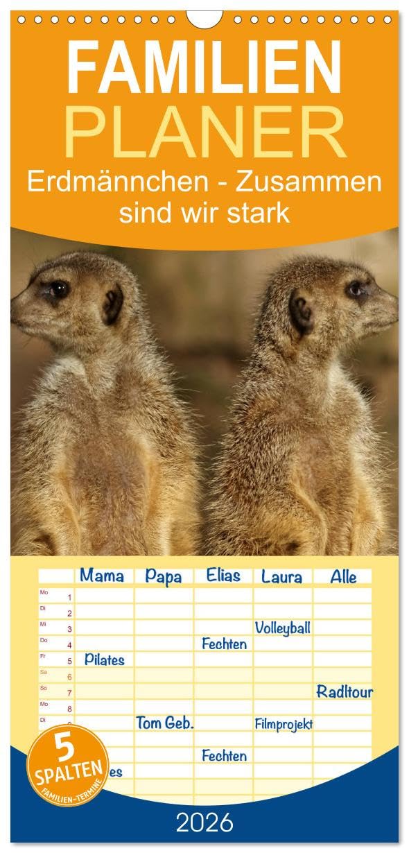 Familienplaner 2026 - Erdmännchen - Zusammen sind wir stark mit 5 Spalten (Wandkalender, 21 cm x 45 cm), CALVENDO Natural Sciences