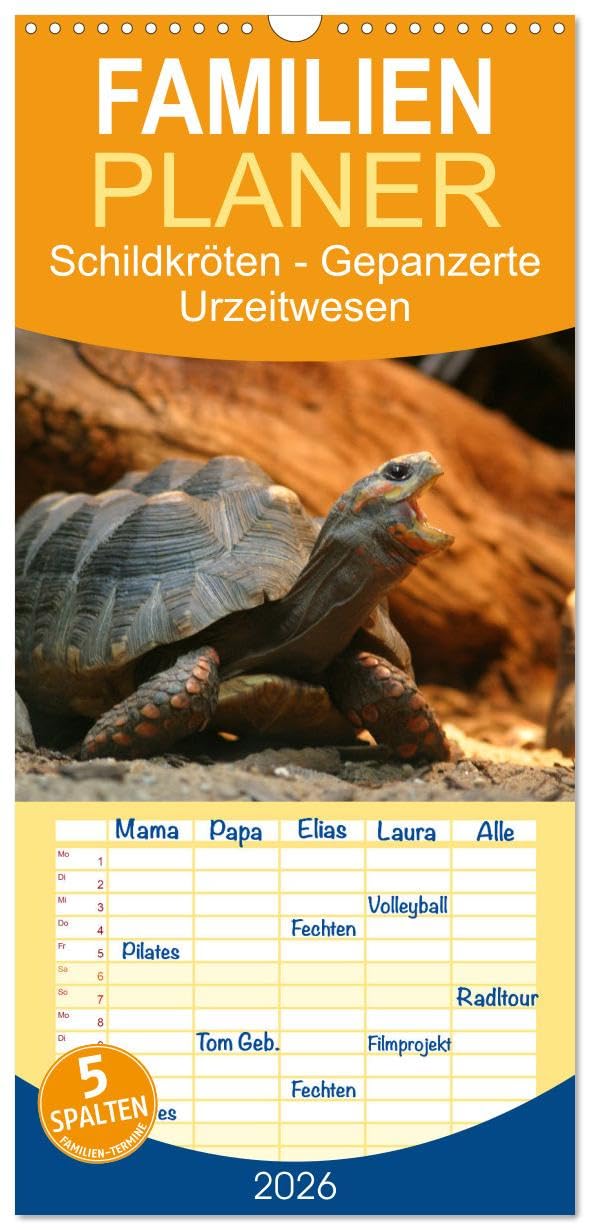Familienplaner 2026 - Schildkröten - Gepanzerte Urzeitwesen mit 5 Spalten (Wandkalender, 21 cm x 45 cm), CALVENDO Living & Furnishing