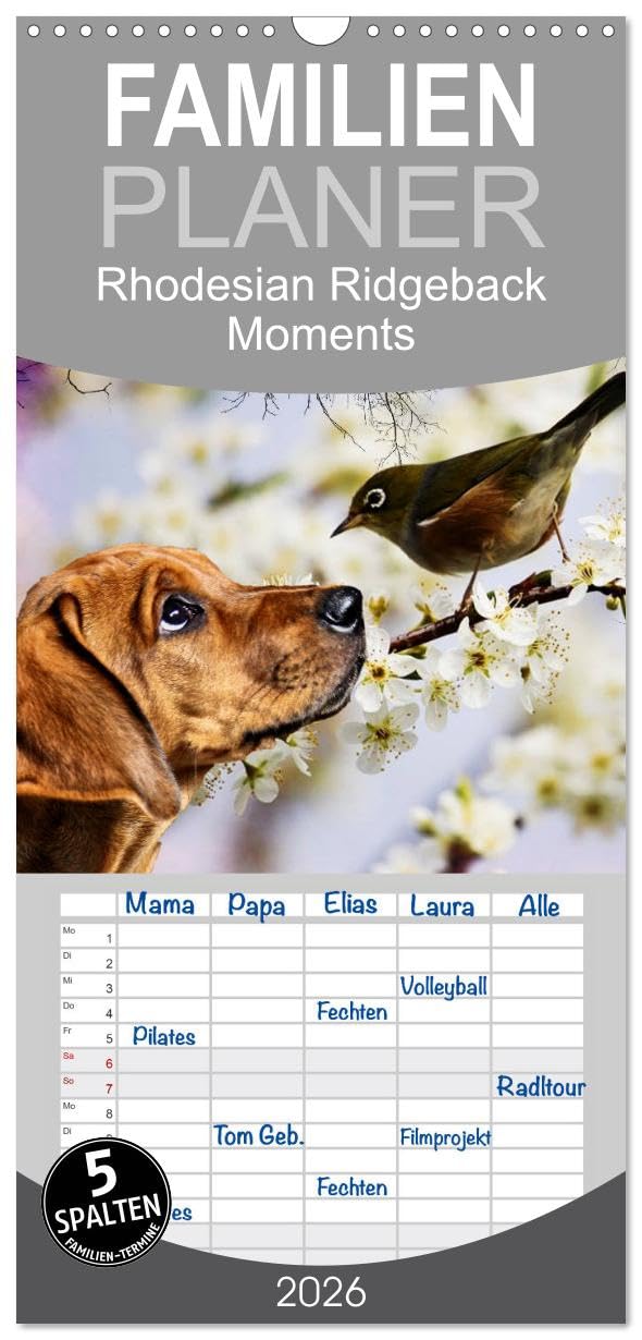 Familienplaner 2026 - Rhodesian Ridgeback - Moments mit 5 Spalten (Wandkalender, 21 cm x 45 cm), CALVENDO Living & Furnishing