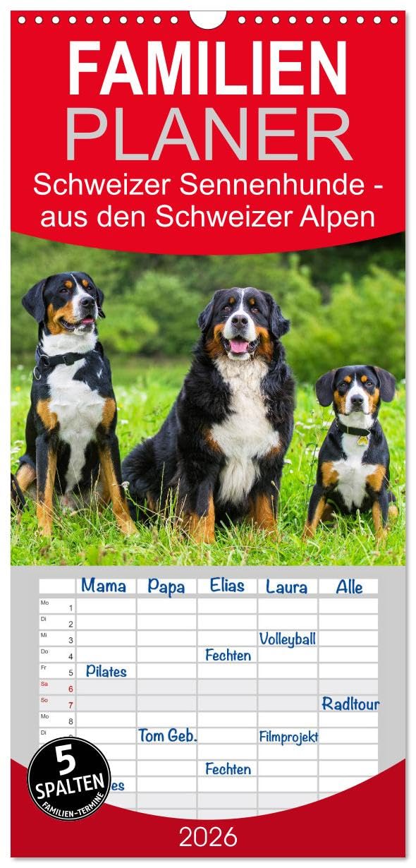 Familienplaner 2026 - Schweizer Sennenhunde - aus den Schweizer Alpen mit 5 Spalten (Wandkalender, 21 cm x 45 cm), CALVENDO Natural Sciences