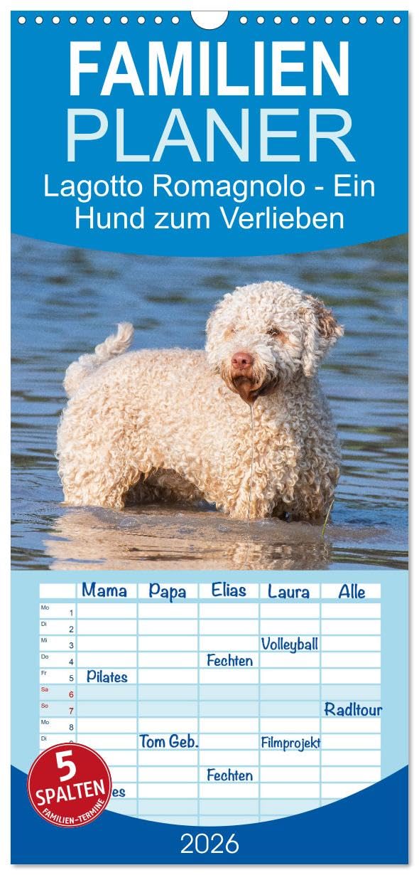 Familienplaner 2026 - Lagotto Romagnolo - Ein Hund zum Verlieben mit 5 Spalten (Wandkalender, 21 cm x 45 cm), CALVENDO Natural Sciences
