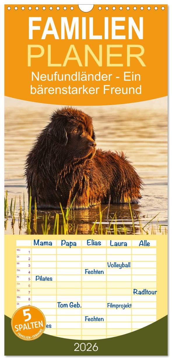 Familienplaner 2026 - Neufundländer - Ein bärenstarker Freund mit 5 Spalten (Wandkalender, 21 cm x 45 cm), CALVENDO Natural Sciences