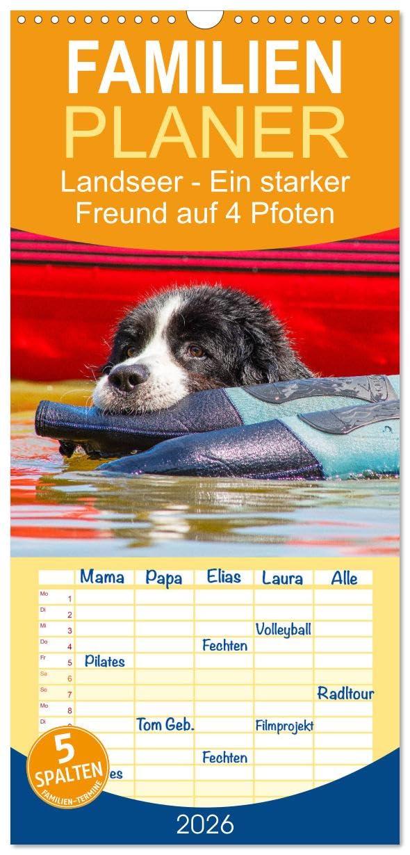 Familienplaner 2026 - Landseer - Ein starker Freund auf 4 Pfoten mit 5 Spalten (Wandkalender, 21 cm x 45 cm), CALVENDO Natural Sciences