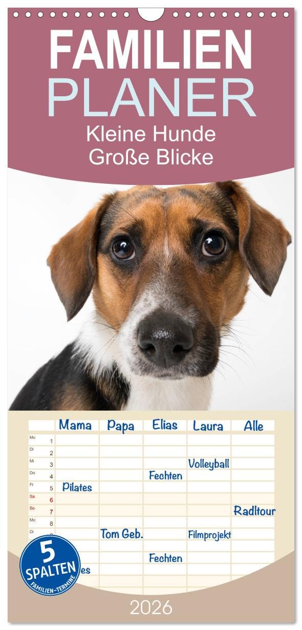 Familienplaner 2026 - Kleine Hunde - Große Blicke mit 5 Spalten (Wandkalender, 21 cm x 45 cm), CALVENDO Natural Sciences