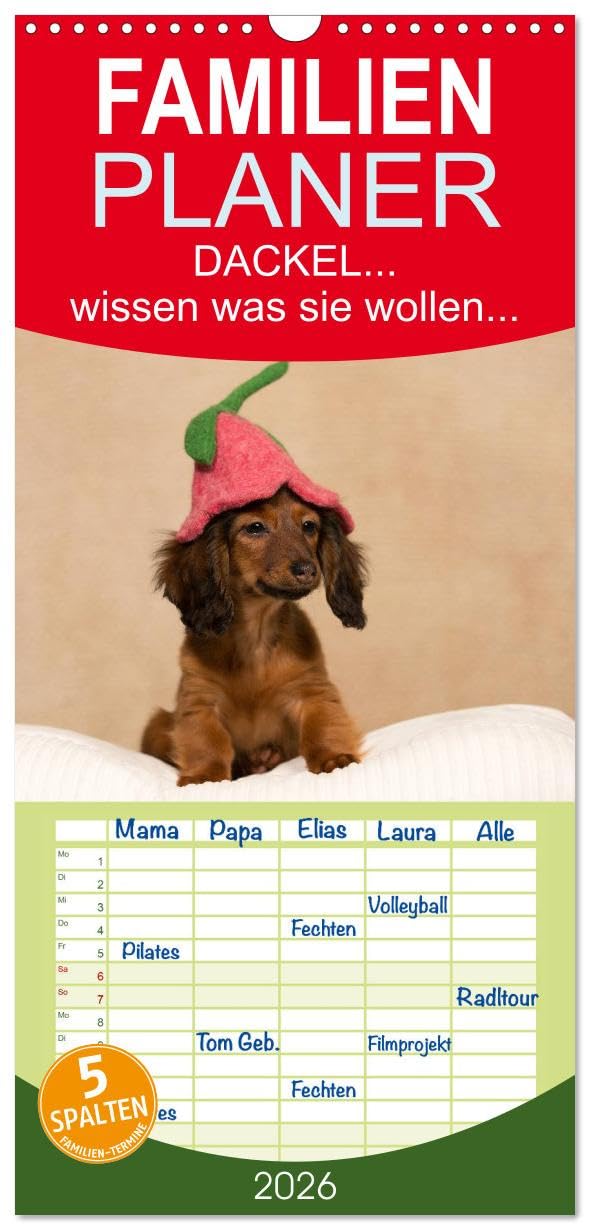 Familienplaner 2026 - DACKEL... wissen was sie wollen... mit 5 Spalten (Wandkalender, 21 cm x 45 cm), CALVENDO Living & Furnishing
