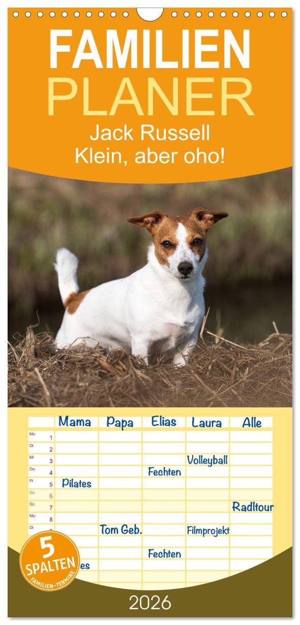 Familienplaner 2026 - Jack Russell - Klein, aber oho! mit 5 Spalten (Wandkalender, 21 cm x 45 cm), CALVENDO Living & Furnishing