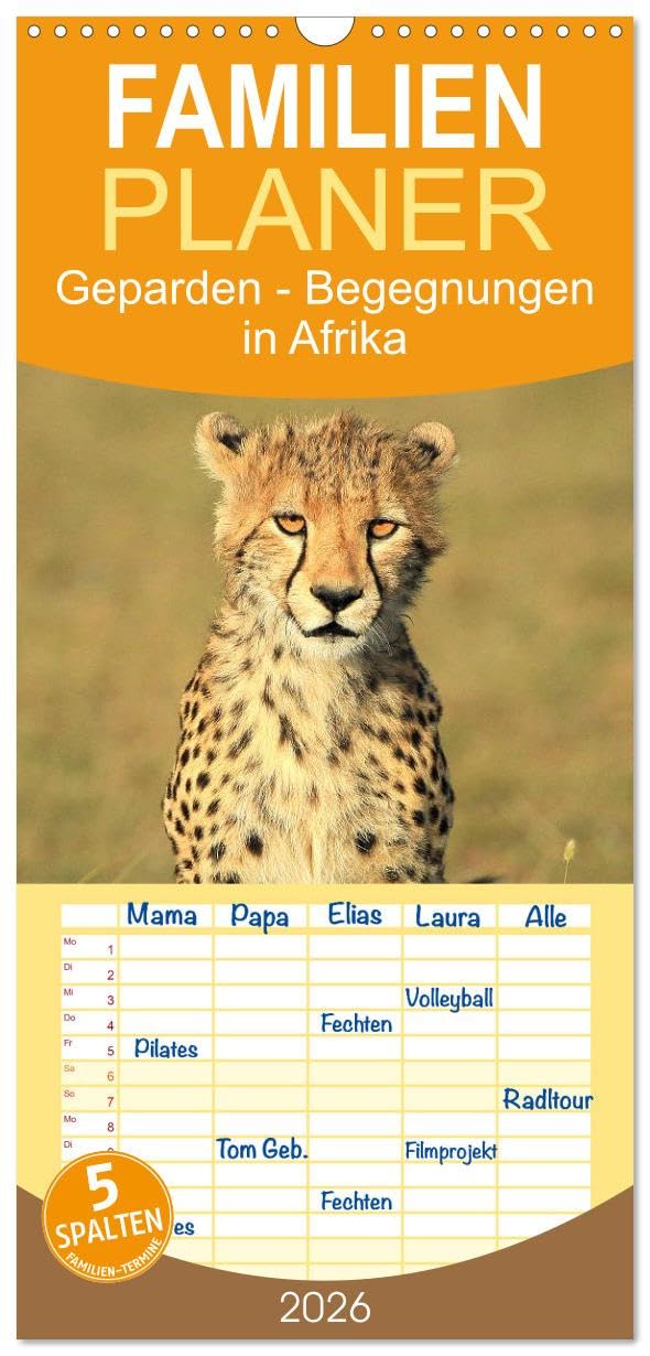 Familienplaner 2026 - Geparden - Begegnungen in Afrika mit 5 Spalten (Wandkalender, 21 cm x 45 cm), CALVENDO Natural Sciences