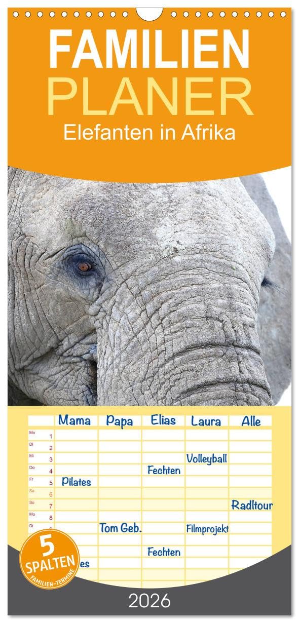 Familienplaner 2026 - Elefanten in Afrika mit 5 Spalten (Wandkalender, 21 cm x 45 cm), CALVENDO Natural Sciences