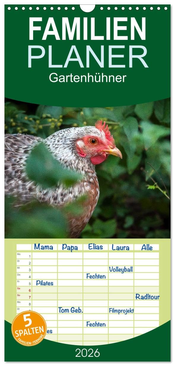 Familienplaner 2026 - Gartenhühner mit 5 Spalten (Wandkalender, 21 cm x 45 cm), CALVENDO Natural Sciences