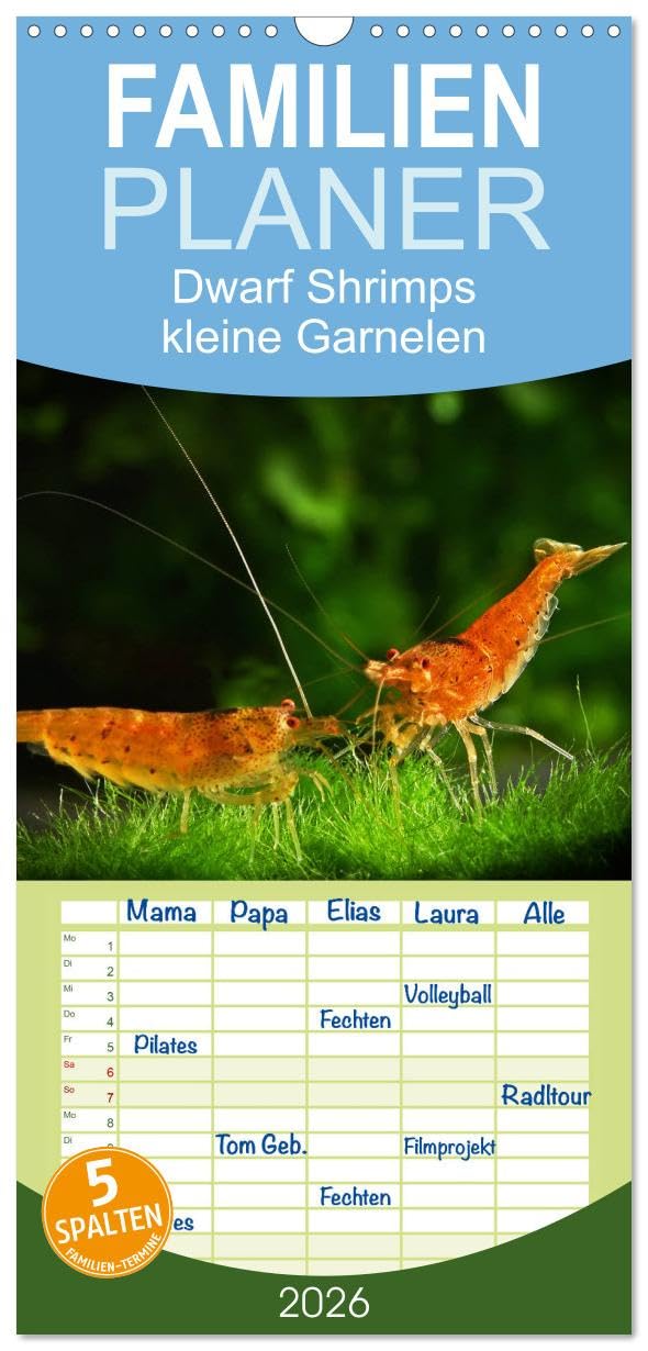 Familienplaner 2026 - Dwarf Shrimps - kleine Garnelen mit 5 Spalten (Wandkalender, 21 cm x 45 cm), CALVENDO Business & Technology
