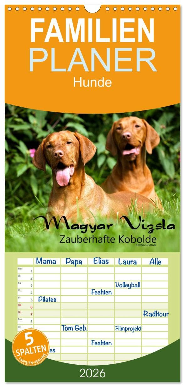 Familienplaner 2026 - Magyar Vizsla - Zauberhafte Kobolde mit 5 Spalten (Wandkalender, 21 cm x 45 cm), CALVENDO Leisure, Home & Garden