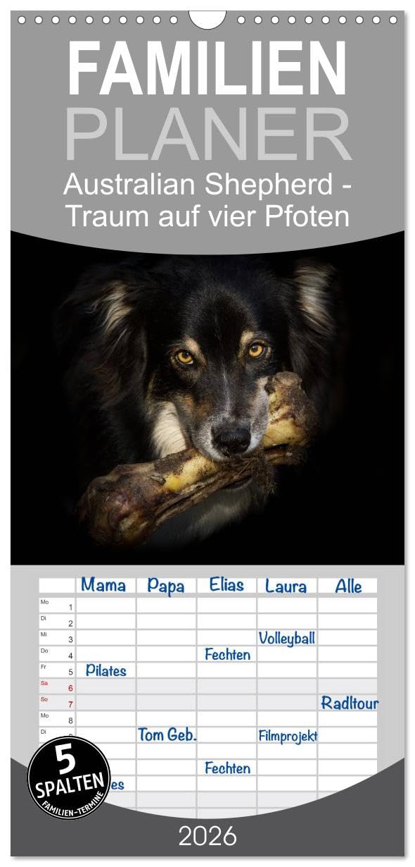 Familienplaner 2026 - Australian Shepherd - Traum auf vier Pfoten mit 5 Spalten (Wandkalender, 21 cm x 45 cm), CALVENDO Photography