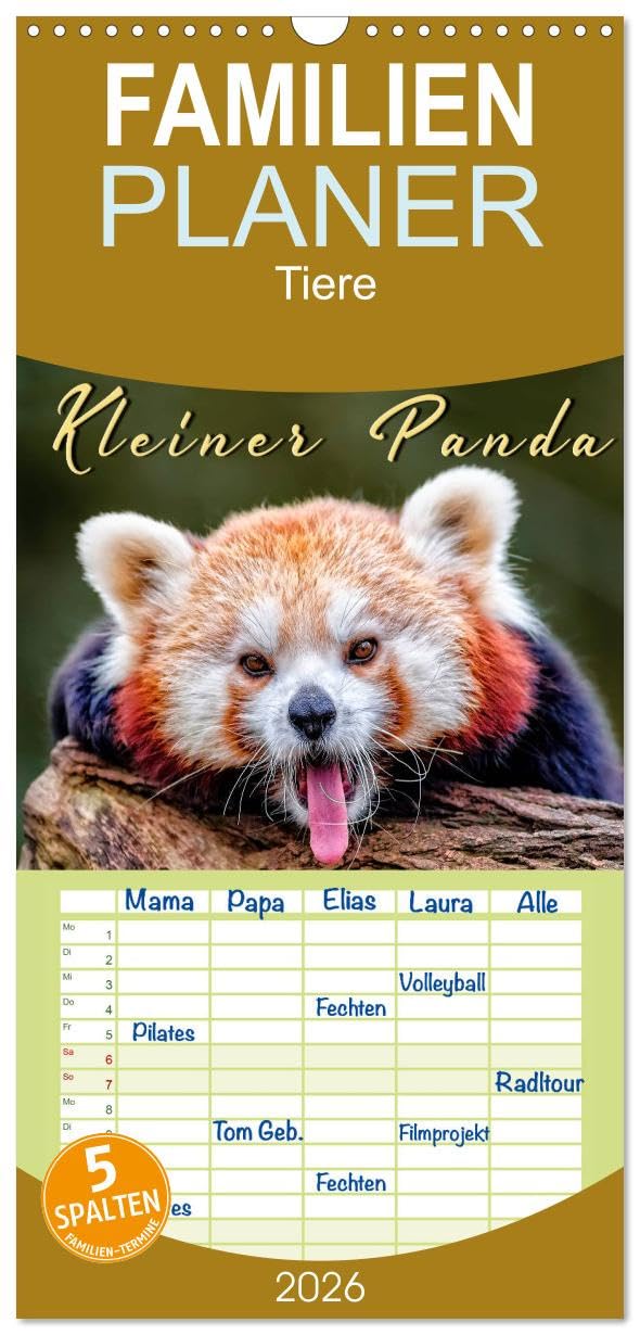 Familienplaner 2026 - Kleiner Panda mit 5 Spalten (Wandkalender, 21 cm x 45 cm), CALVENDO Film, Art & Culture