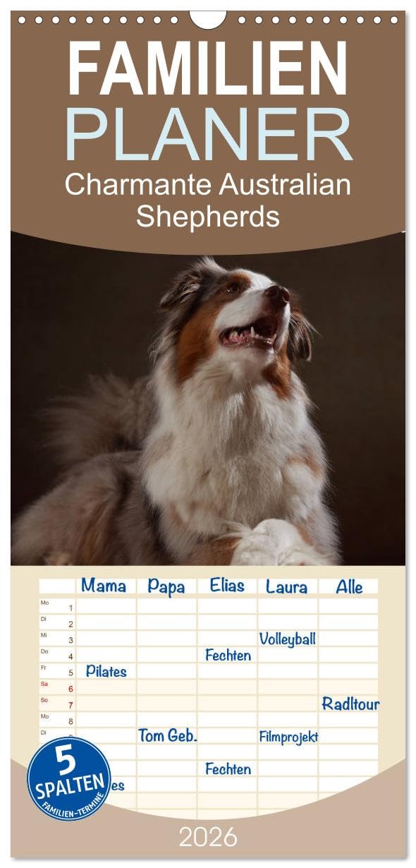 Familienplaner 2026 - Charmante Australian Shepherds mit 5 Spalten (Wandkalender, 21 cm x 45 cm), CALVENDO Natural Sciences