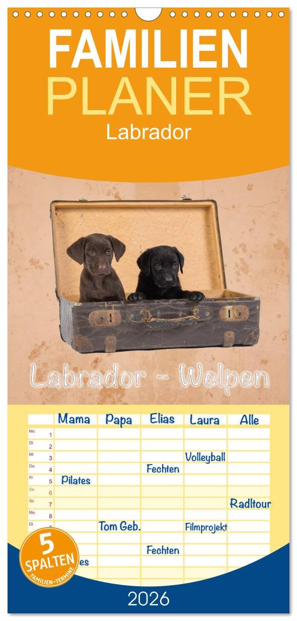 Familienplaner 2026 - Labrador - Welpen mit 5 Spalten (Wandkalender, 21 cm x 45 cm), CALVENDO Living & Furnishing