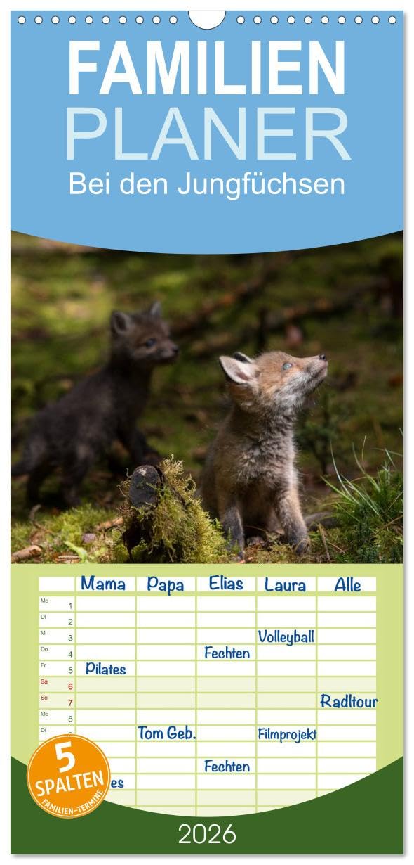 Familienplaner 2026 - Bei den Jungfüchsen mit 5 Spalten (Wandkalender, 21 cm x 45 cm), CALVENDO Natural Sciences