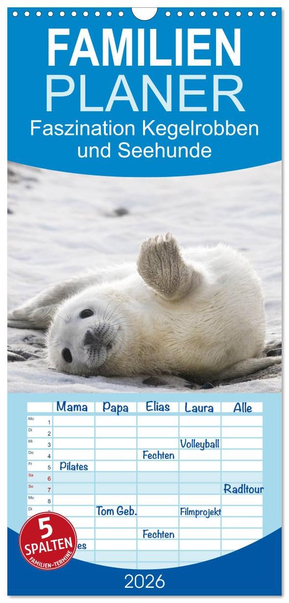 Familienplaner 2026 - Faszination Kegelrobben und Seehunde mit 5 Spalten (Wandkalender, 21 cm x 45 cm), CALVENDO Natural Sciences
