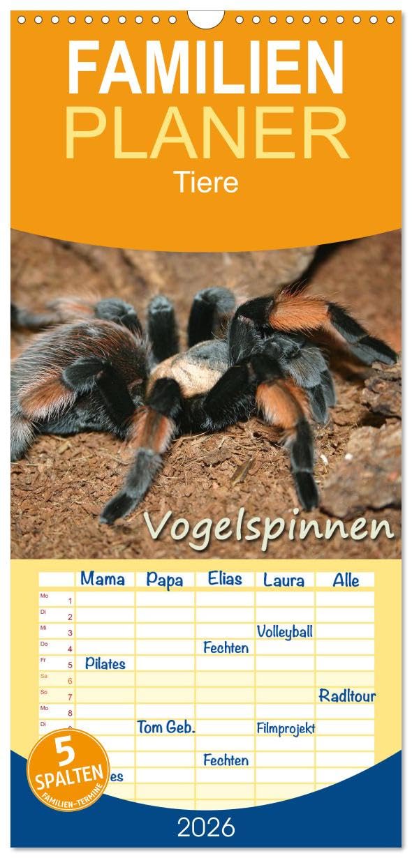 Familienplaner 2026 - Vogelspinnen mit 5 Spalten (Wandkalender, 21 cm x 45 cm), CALVENDO Living & Furnishing